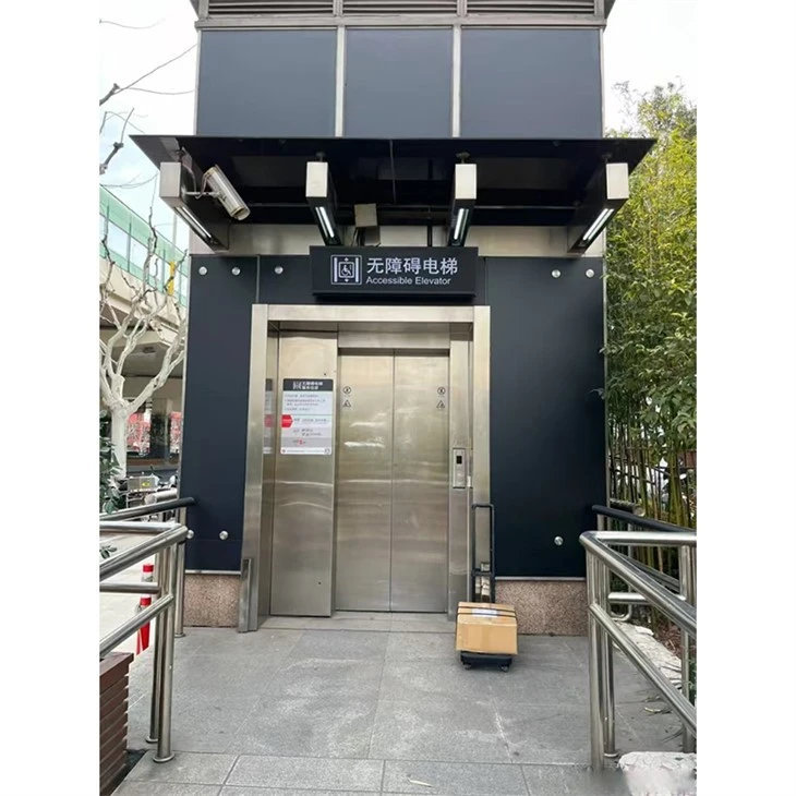 Disabled Passenger Lift factory